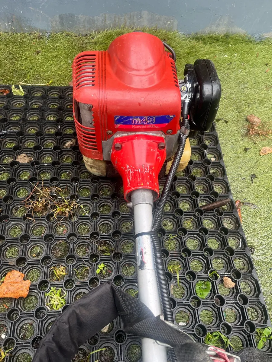 Strimmer - Image 3