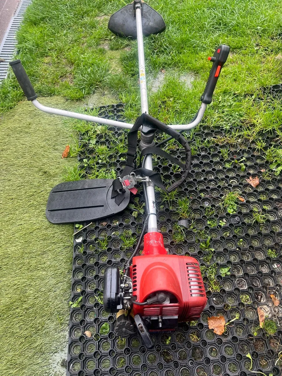 Strimmer - Image 4