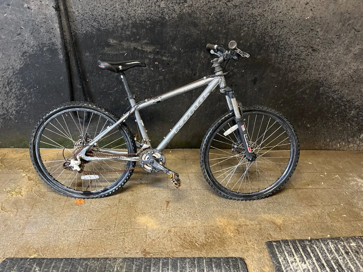 Mountain bike - Image 1