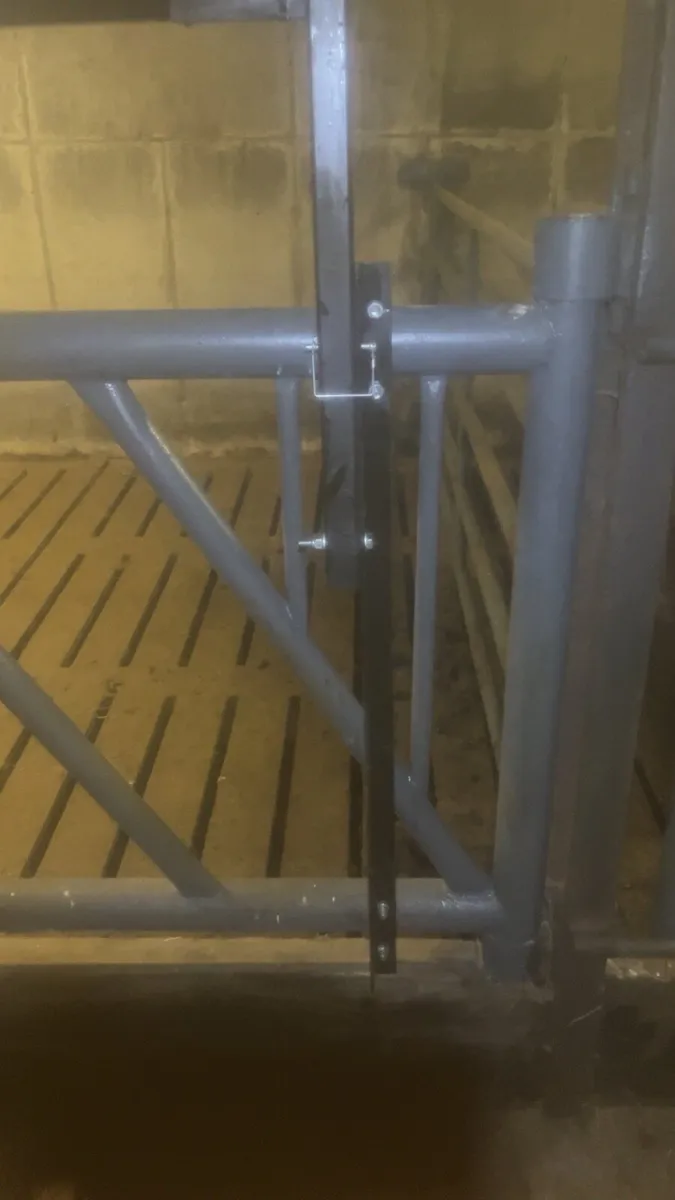 Swing down troughs - Image 4