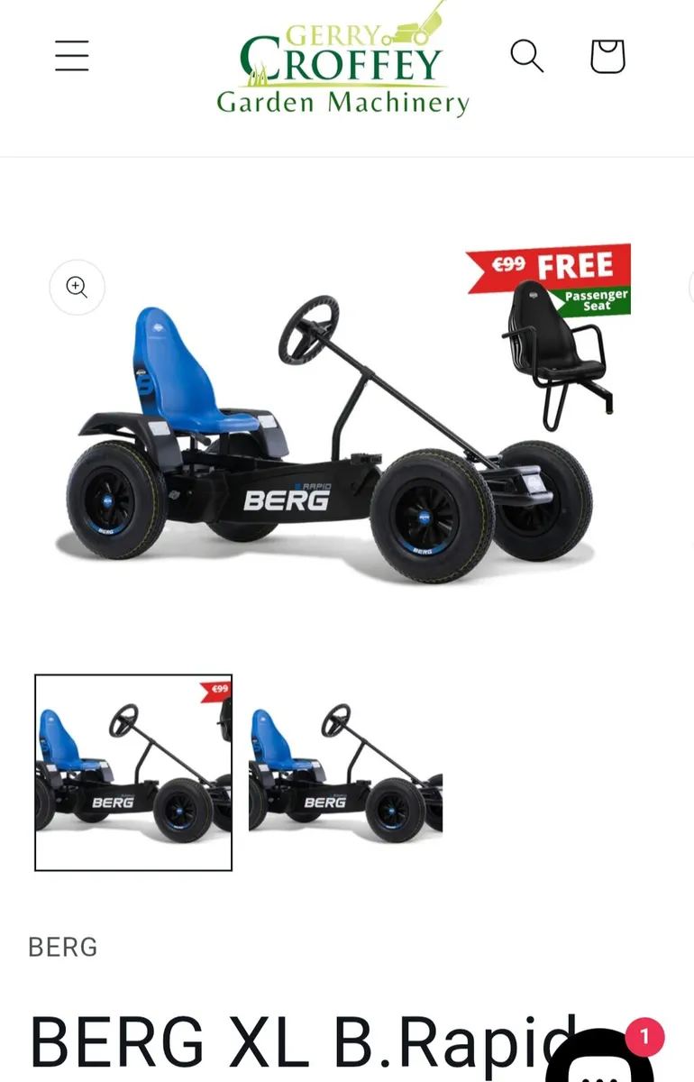 Berg Go Karts - Image 4