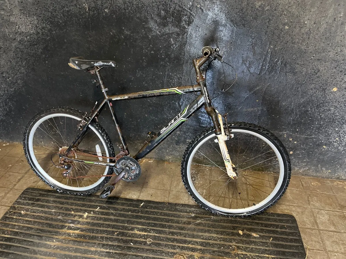 Mountain bike - Image 1