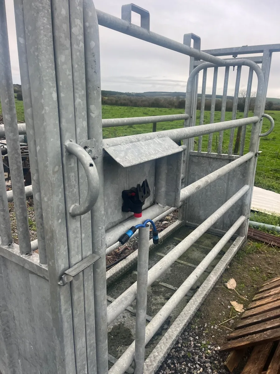 Platform scales with Crush and digital scales - Image 1
