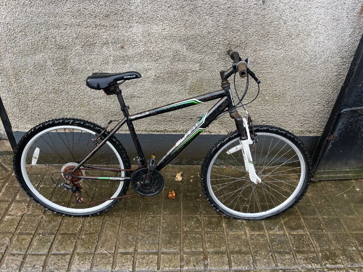 Mountain bike - Image 1