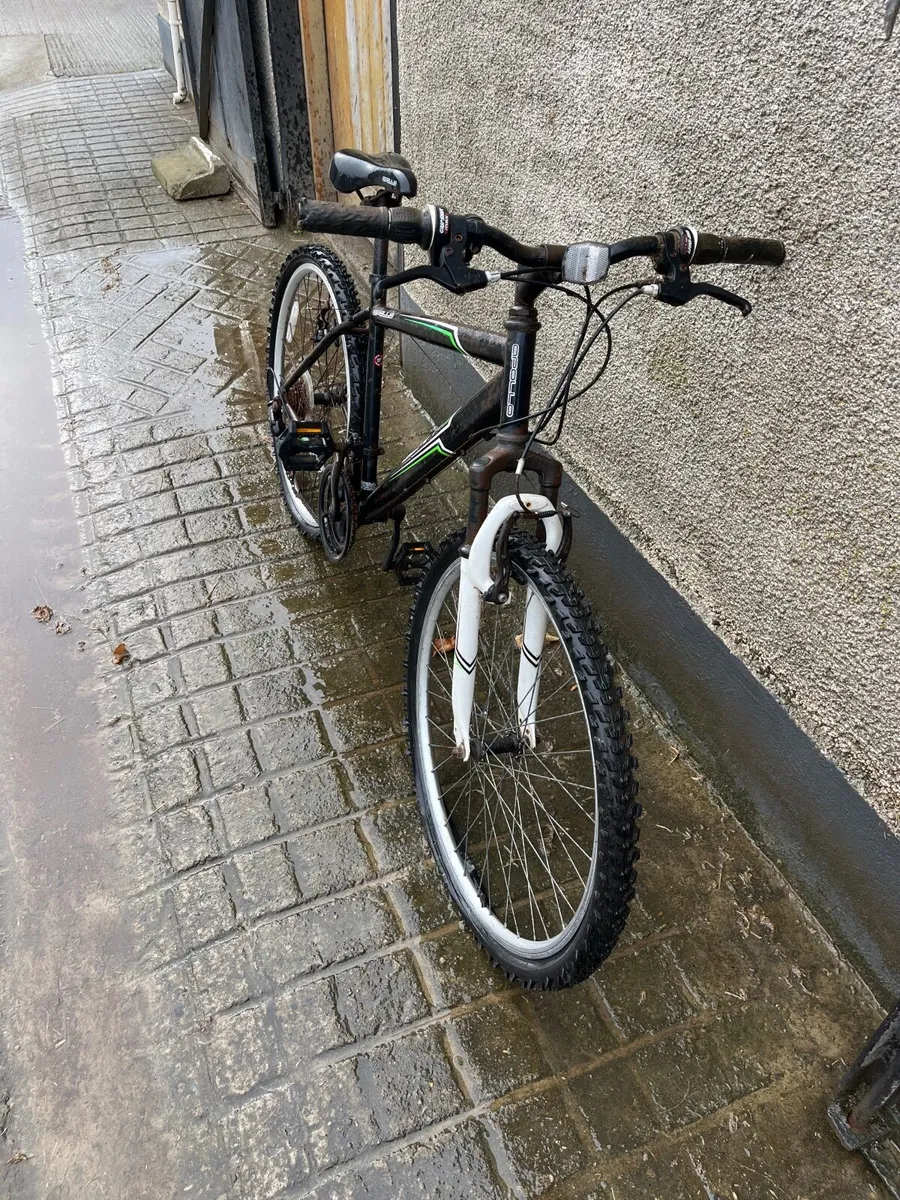 Mountain bike - Image 2