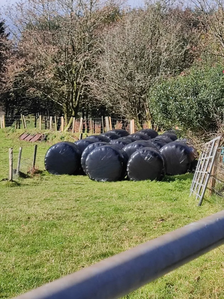 Bales