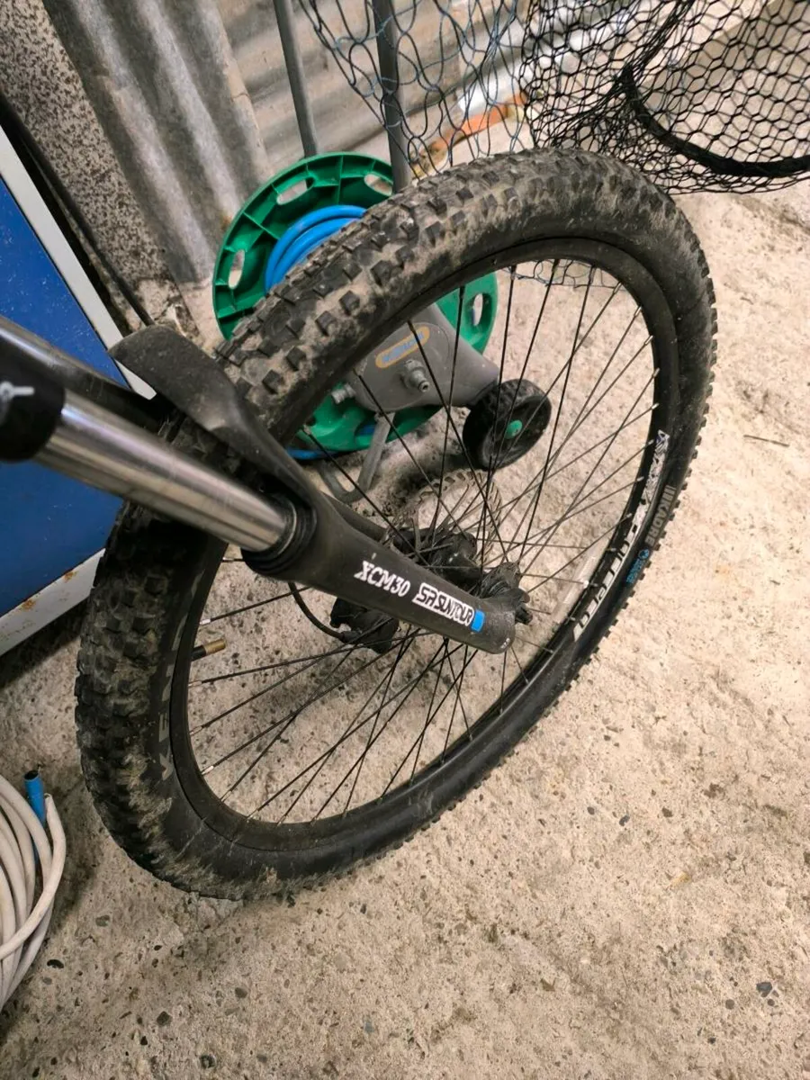 Carrera mountain bike - Image 2