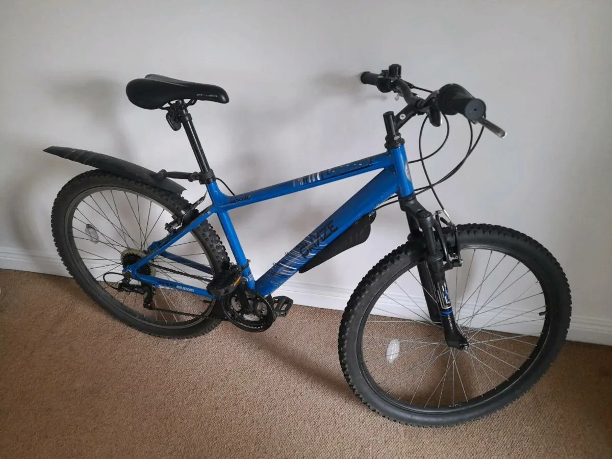 Bike - Image 1