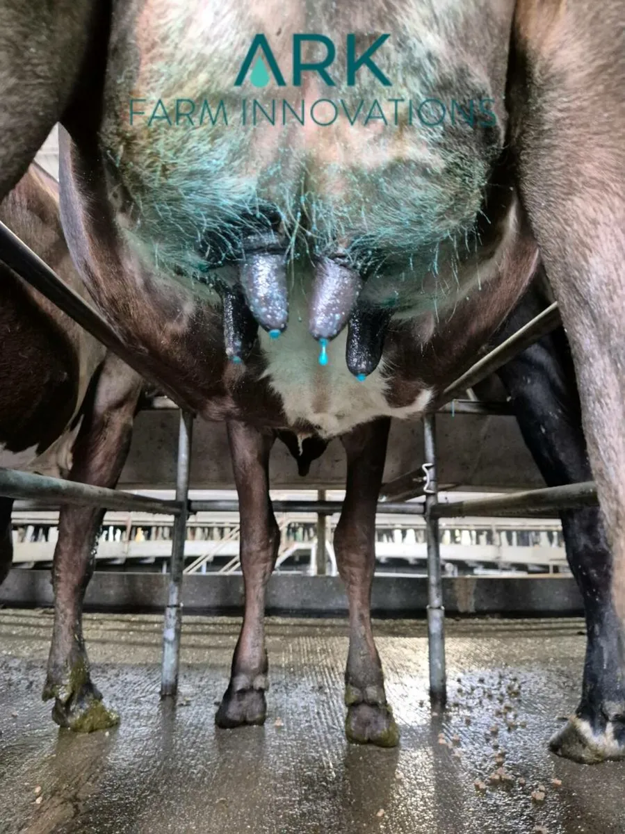 ARK farm innovations - Image 1