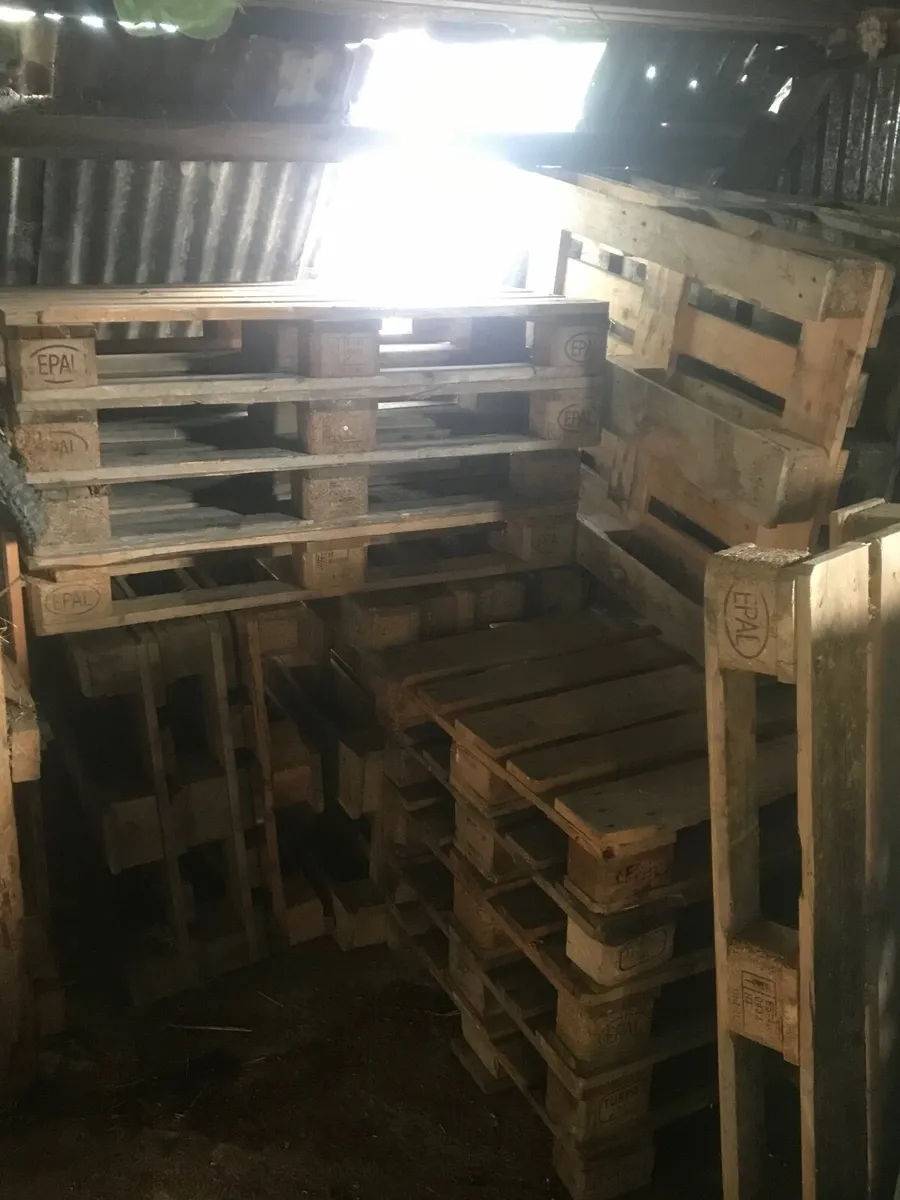 Pallets /Firewood
