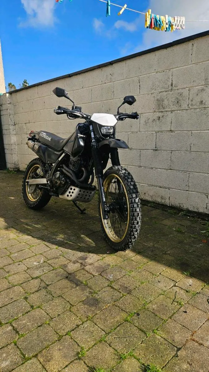 Honda nx650 dominator - Image 1