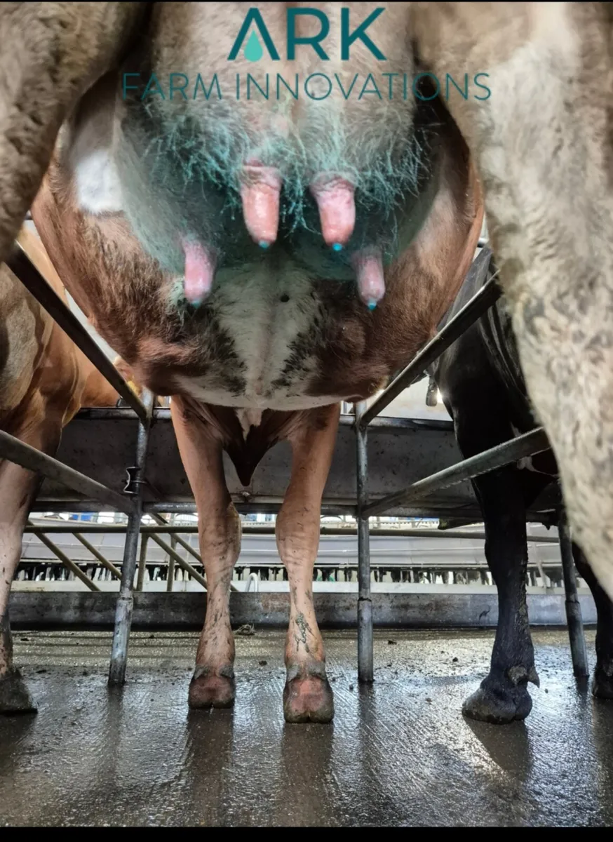 Ark farm innovations - Image 1