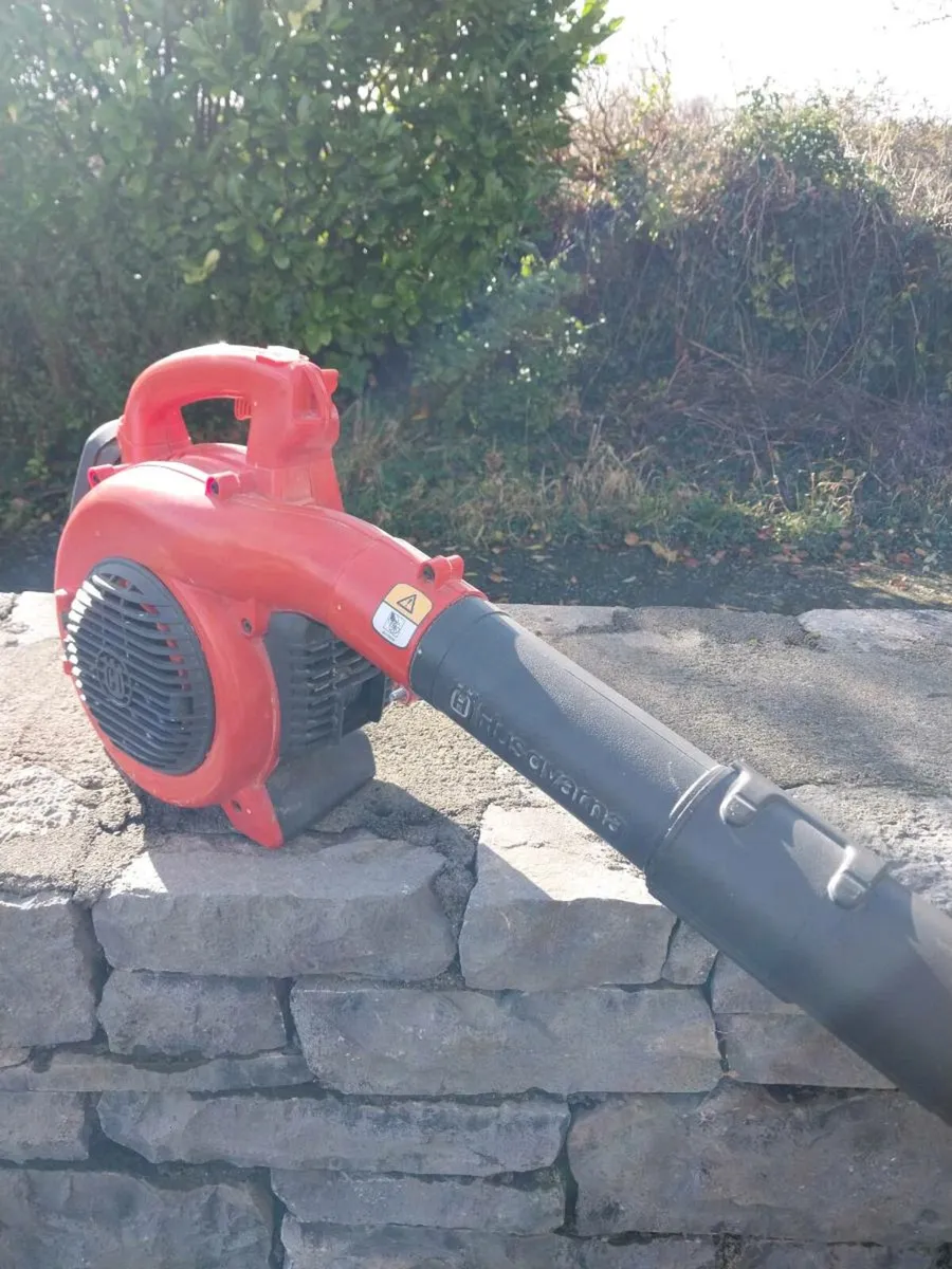 Leaf Blower - Image 1