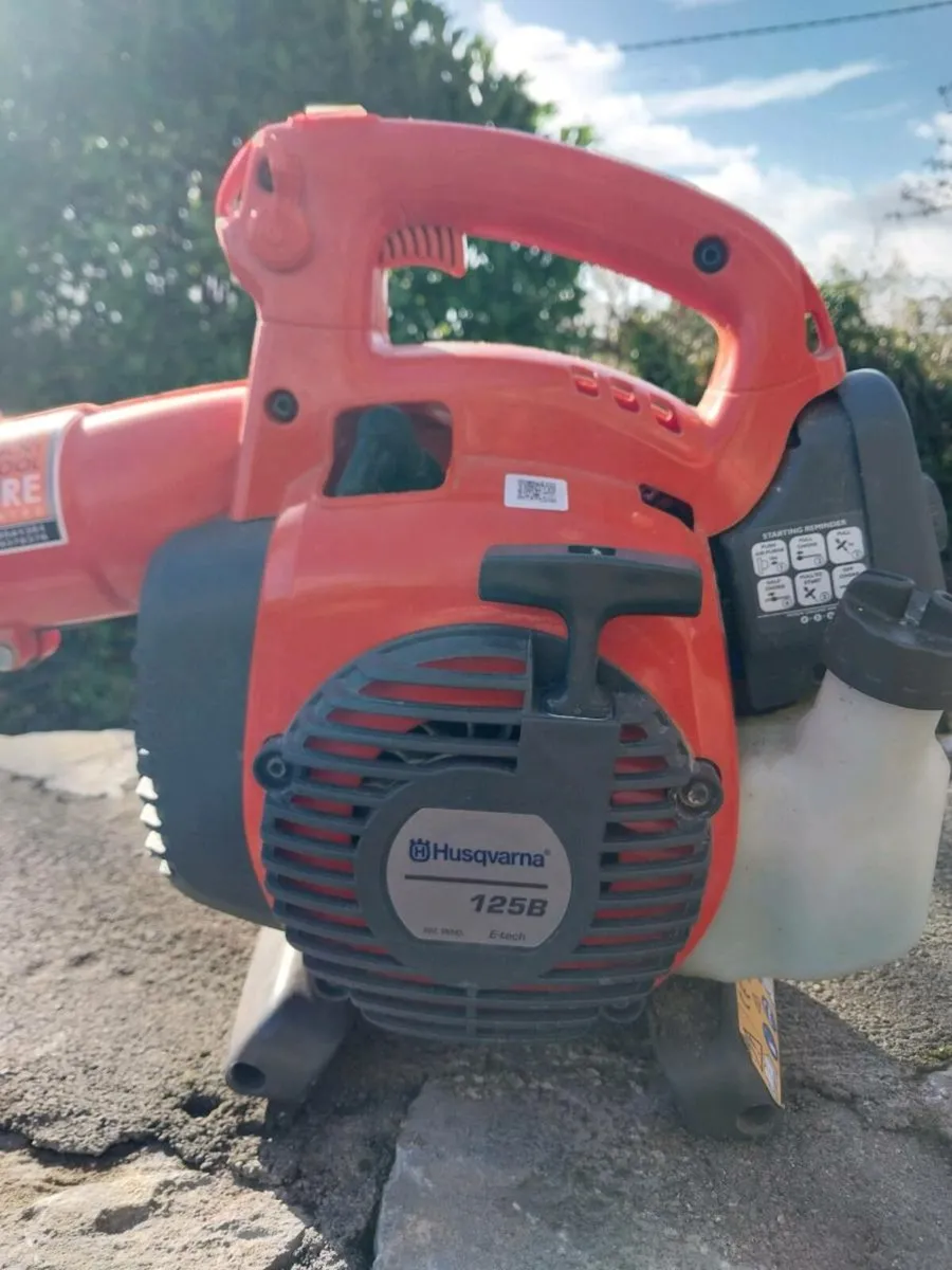 Leaf Blower - Image 2