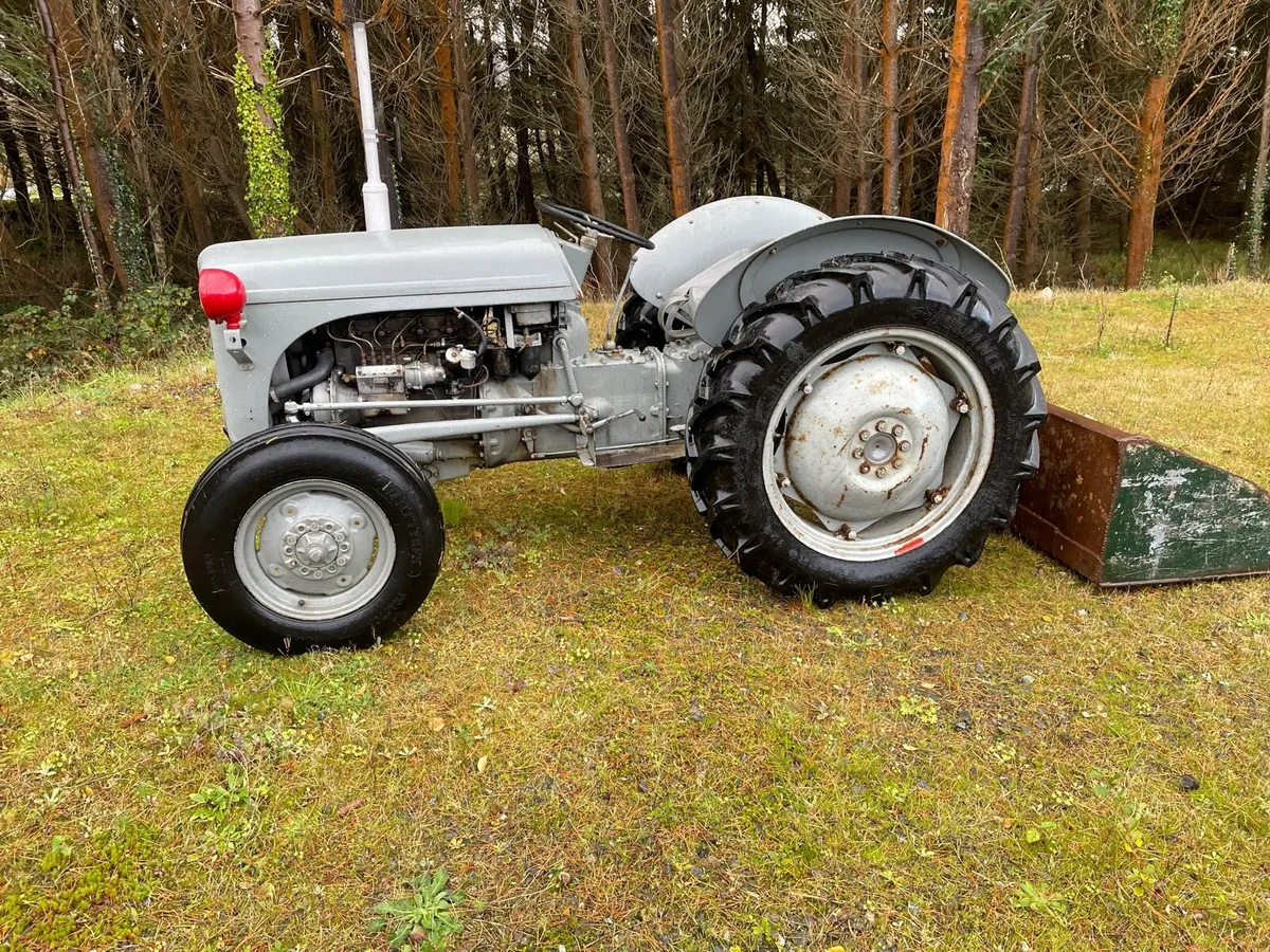 Ferguson 20 diesel with tax book - Image 4