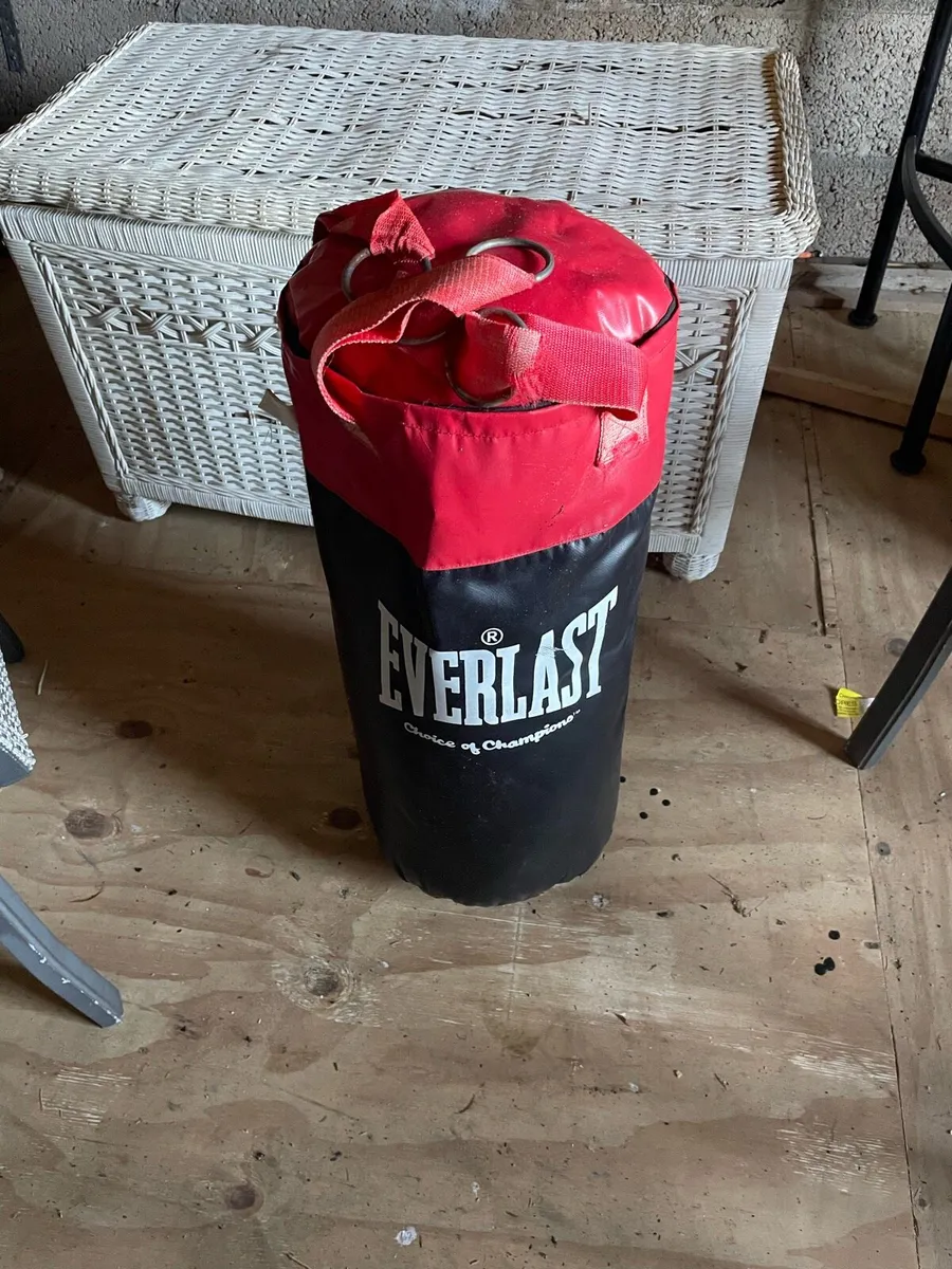 Punching bag