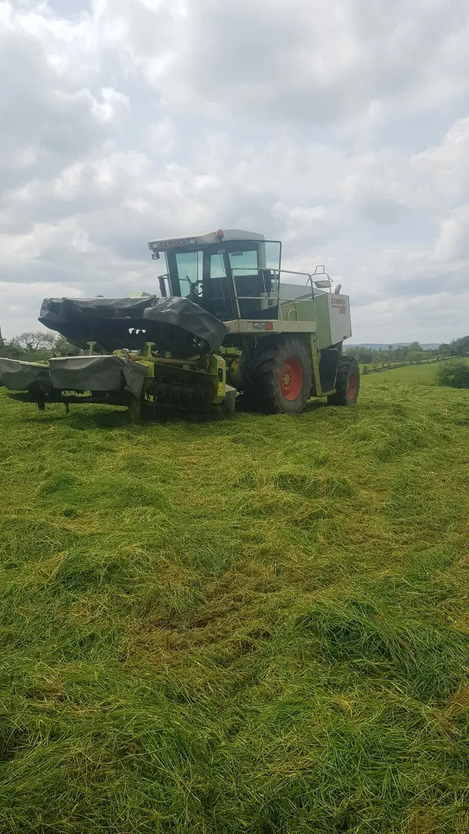 Claas Self Propel Mower - Image 2