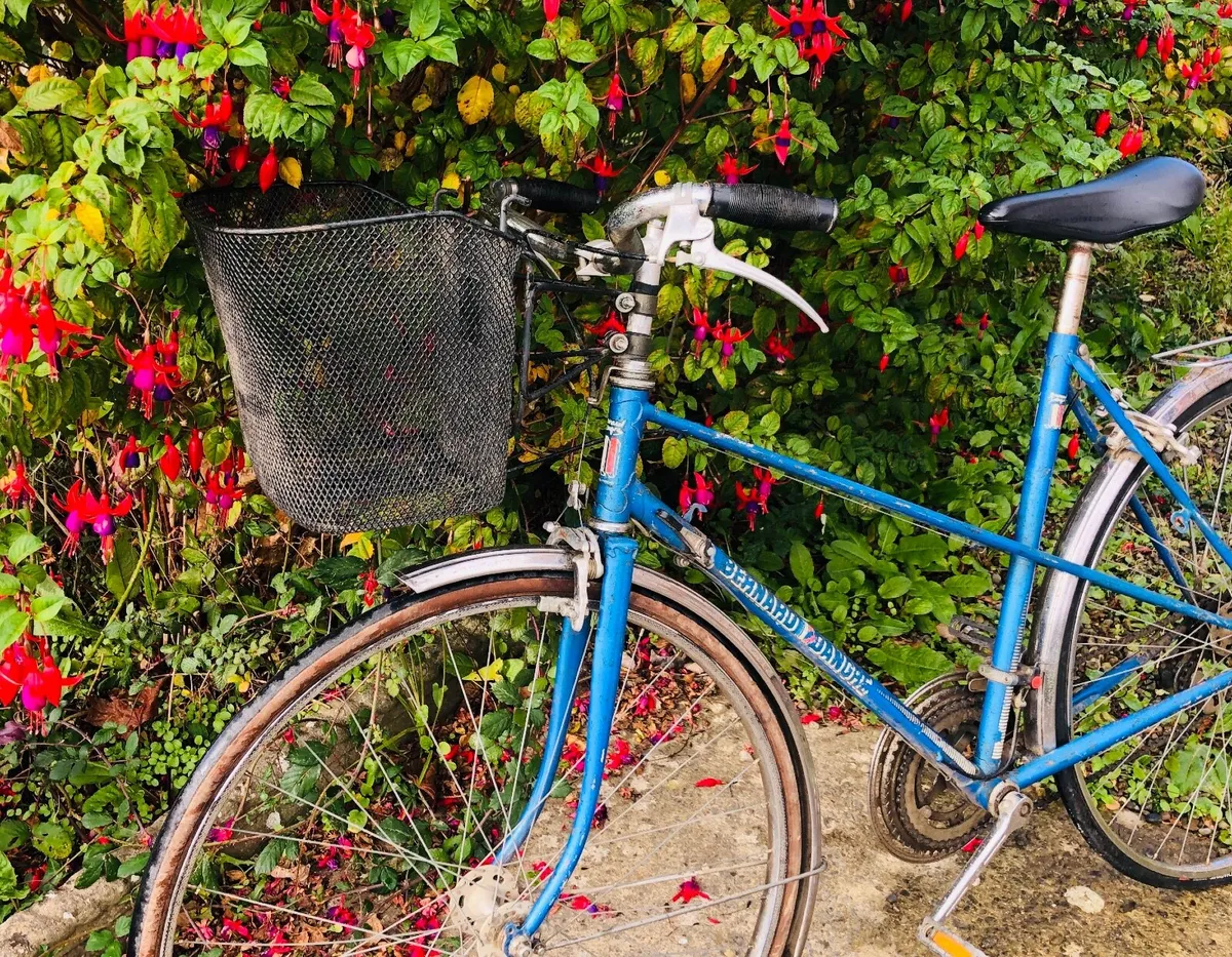 Ladies French bicycle - Image 1