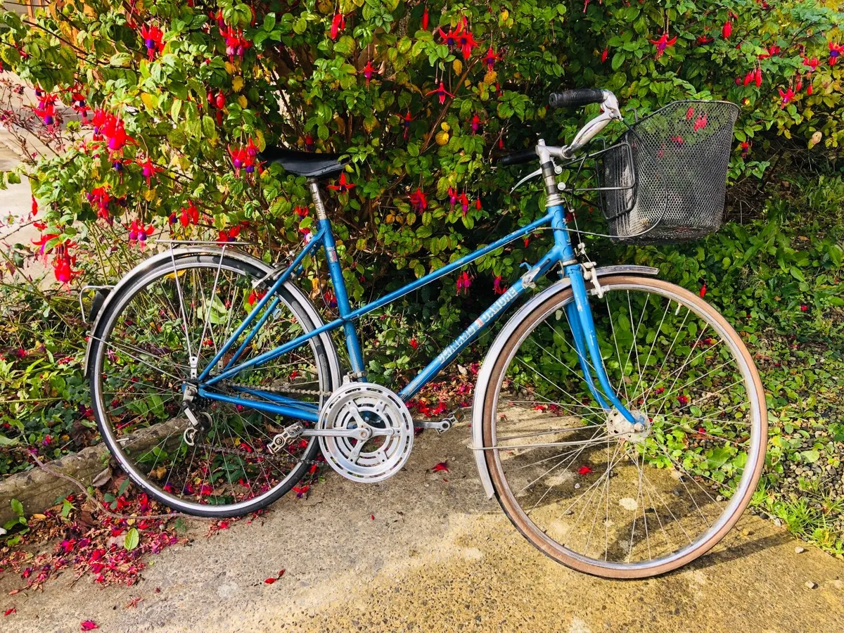 Ladies French bicycle - Image 3