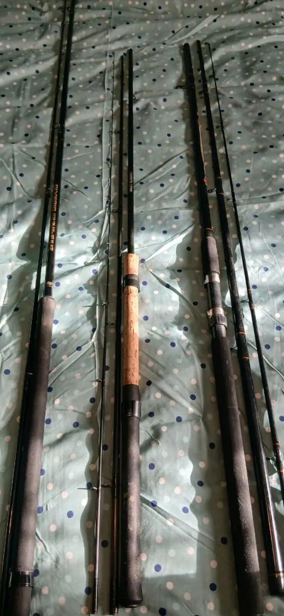 Coarse fishing rods - Image 1