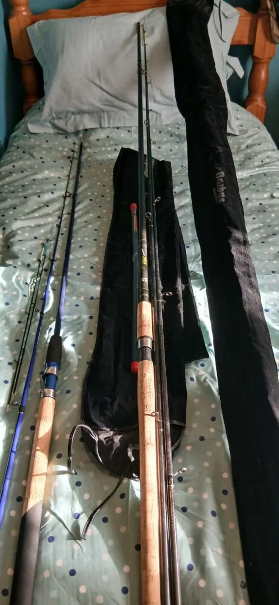 Coarse fishing rods - Image 1