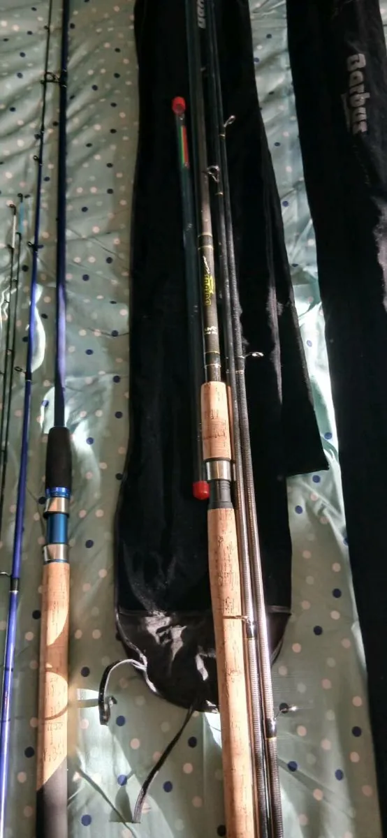Coarse fishing rods - Image 2