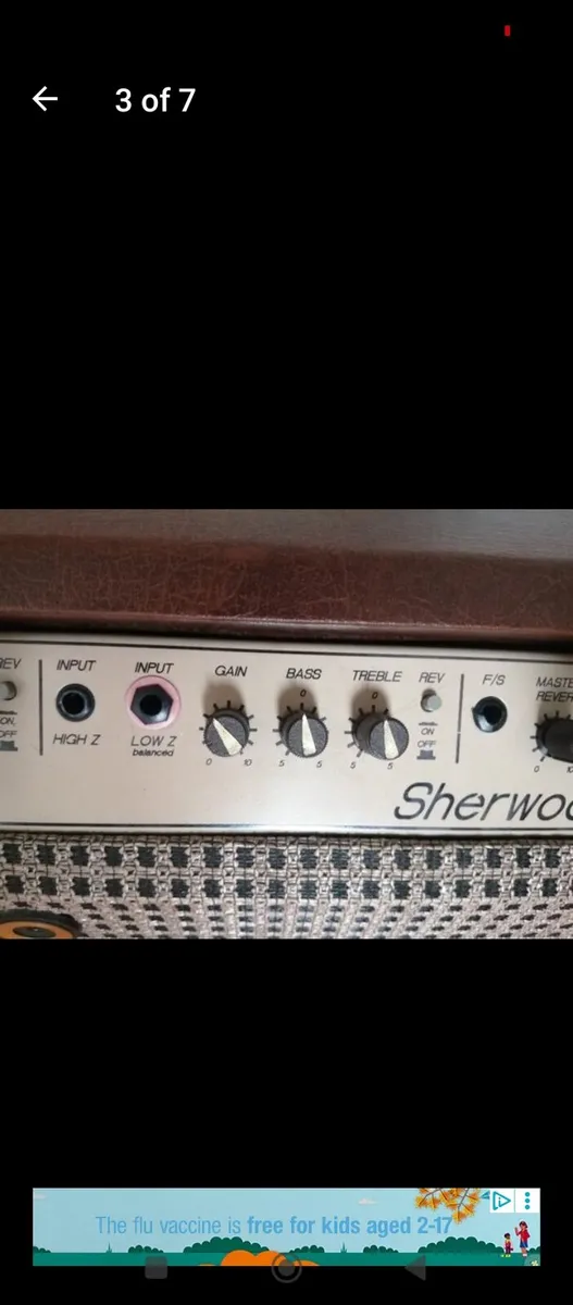 Carlsbro Sherwood Elec/acoustic Guitar Amp - Image 2
