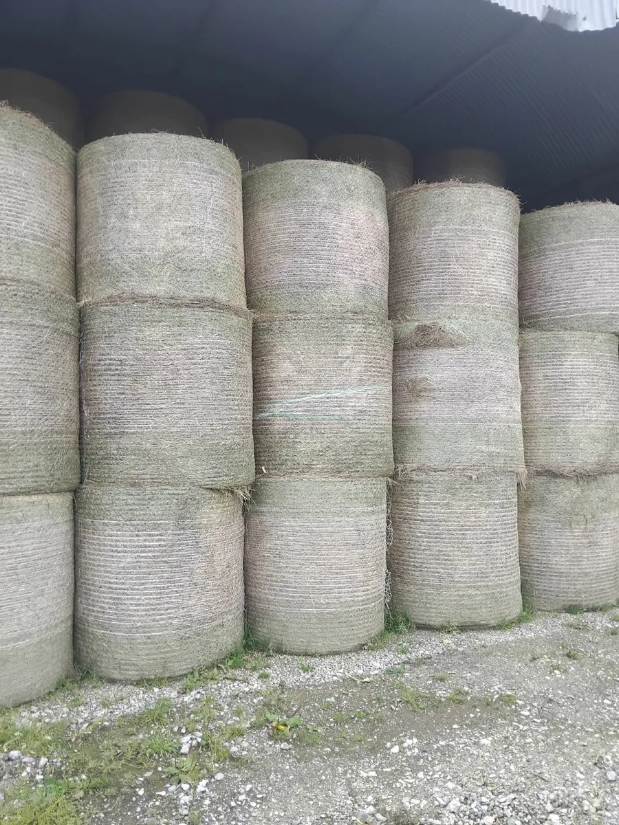 Hay and Silage for Sale - Image 2