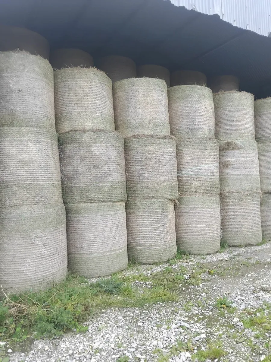 Hay and Silage for Sale - Image 3