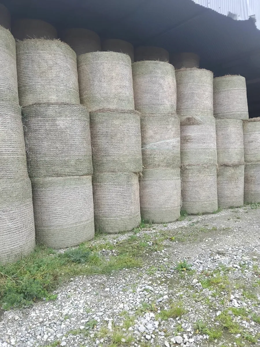 Hay and Silage for Sale - Image 4