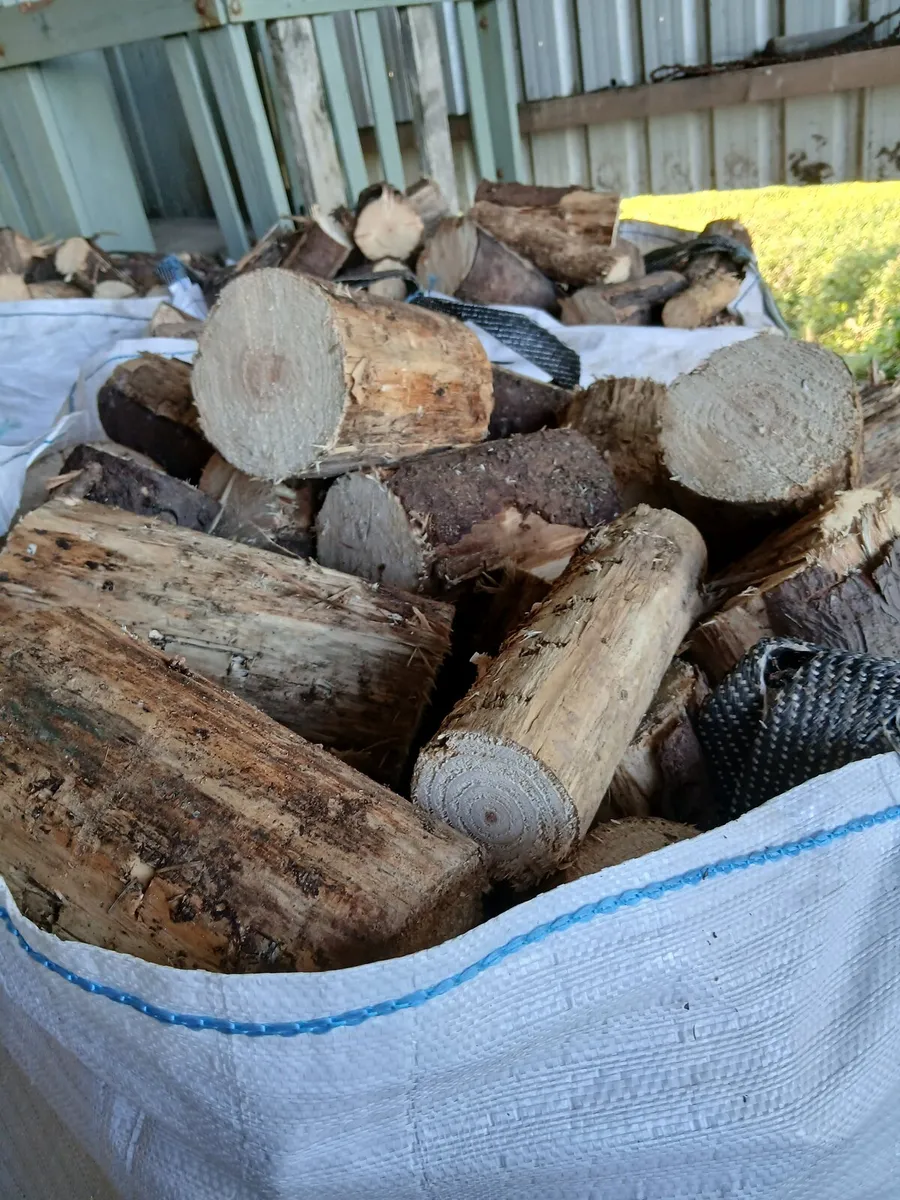 Firewood - Image 1