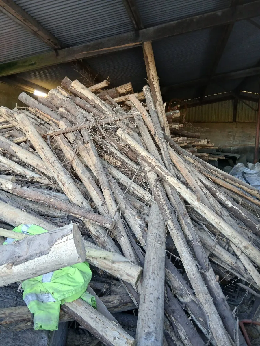 Firewood - Image 2