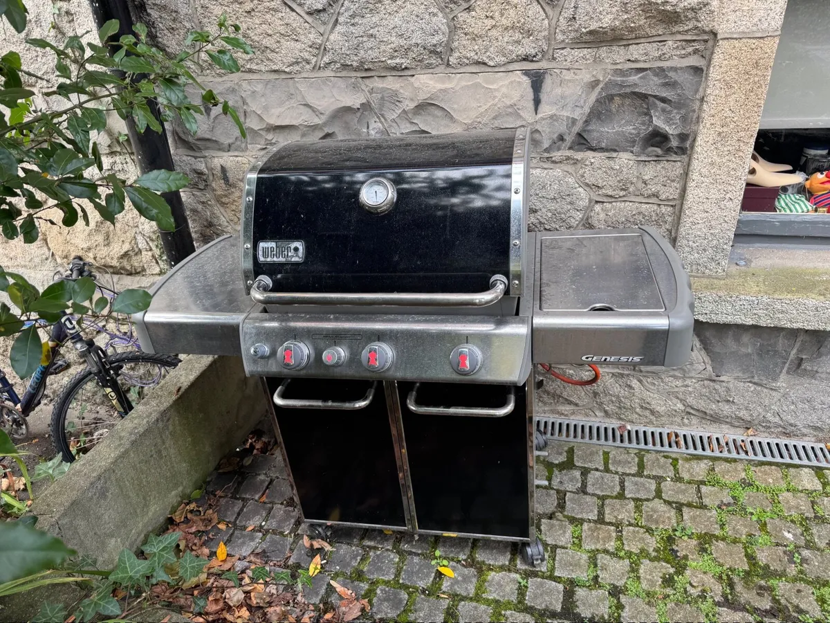 Weber bbq