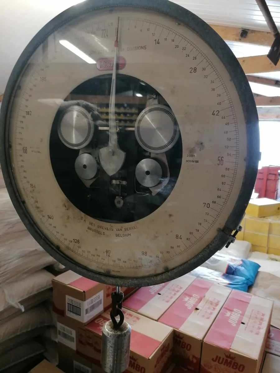 Vintage Berkel scales - Image 1