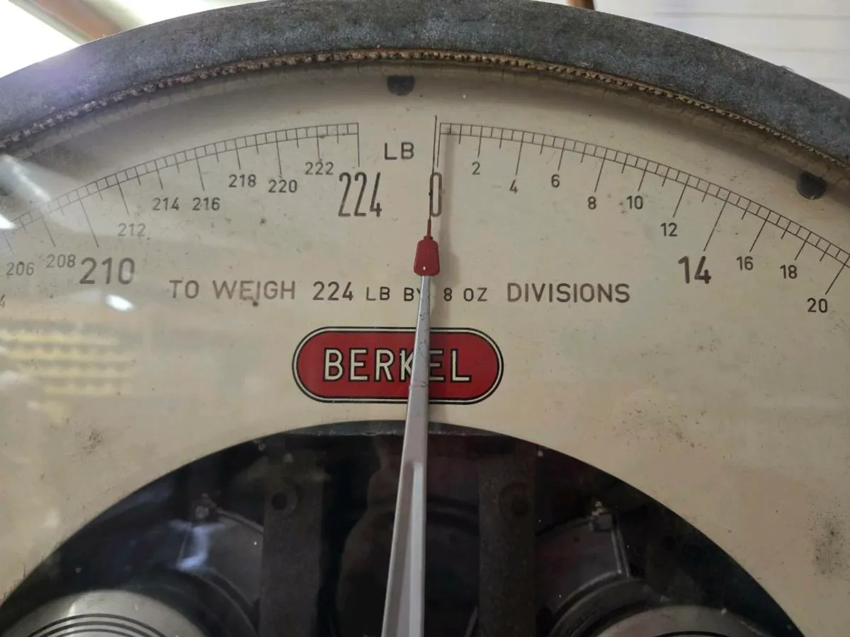 Vintage Berkel scales - Image 3