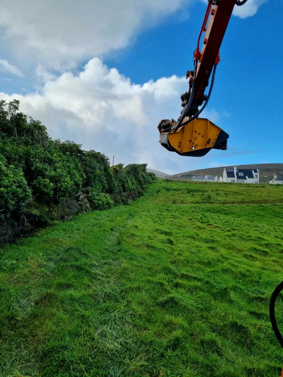 Hedge Cutting - Image 2