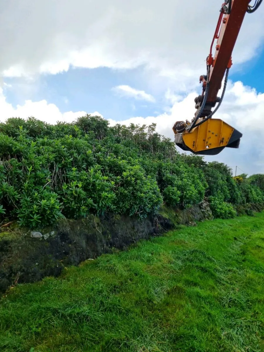Hedge Cutting - Image 3