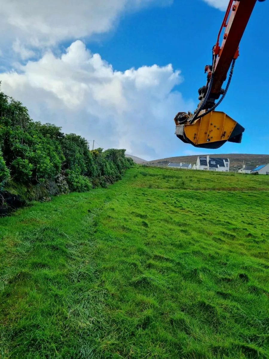 Hedge Cutting - Image 4
