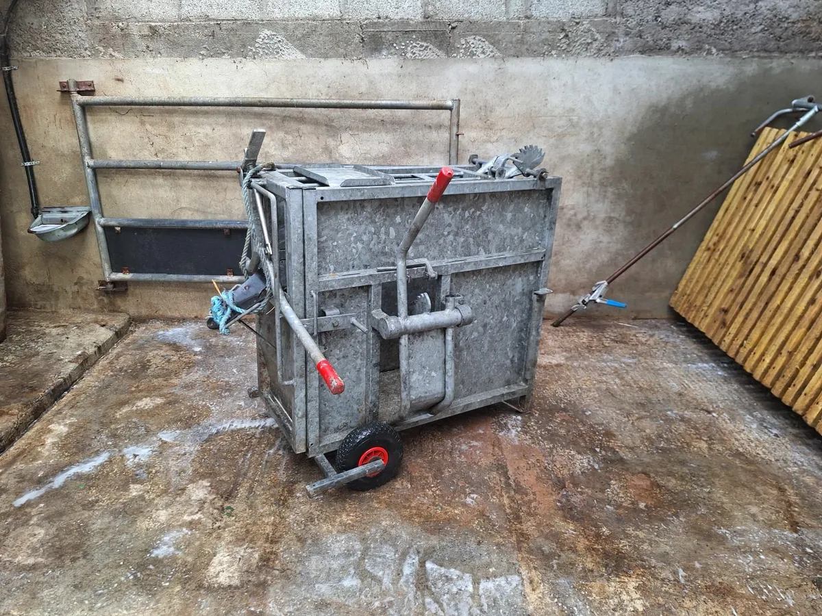 Calf Dehorner