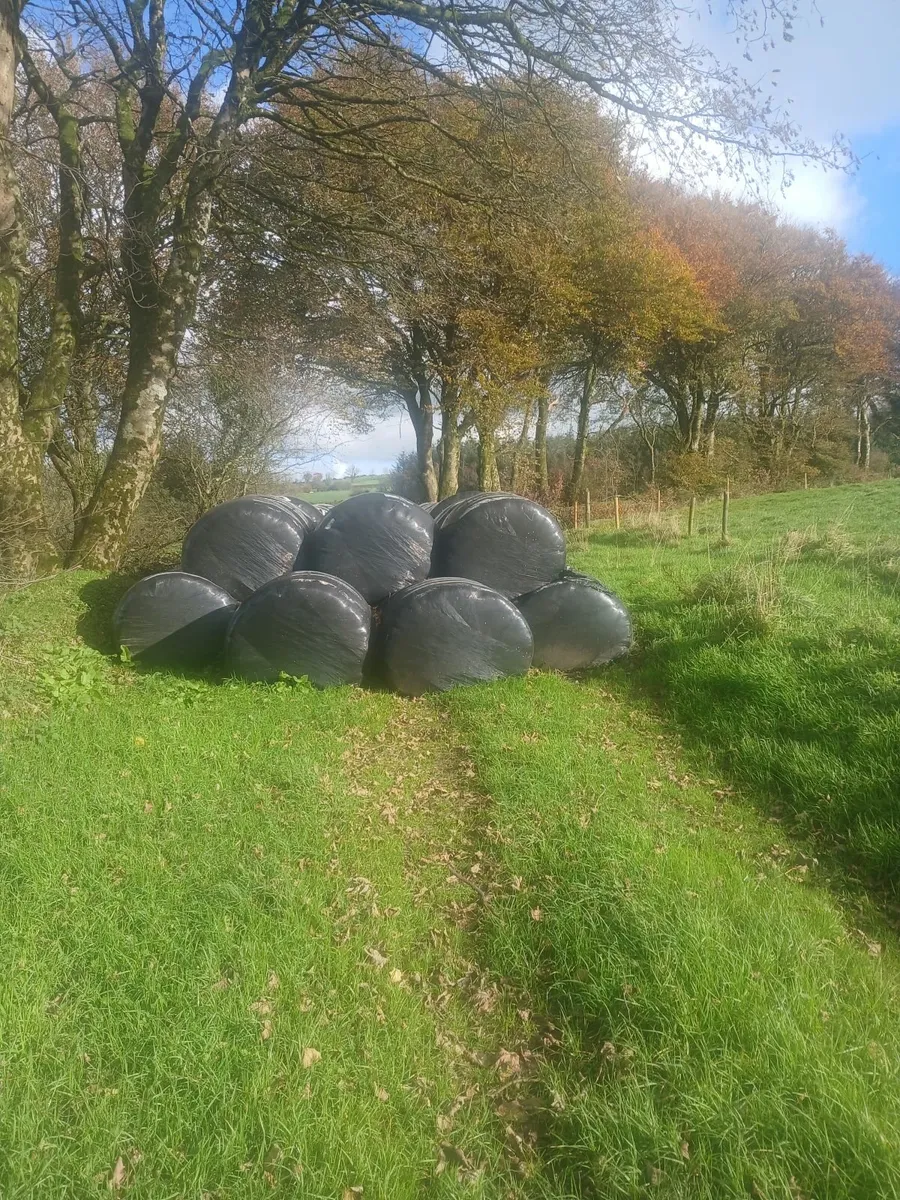Round bales silage - Image 1