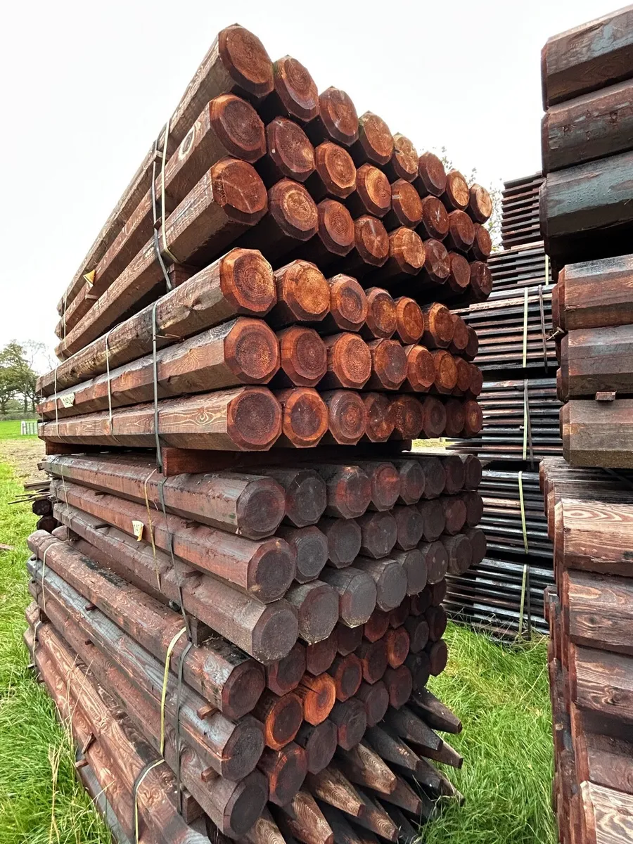 Fencing posts - Image 3