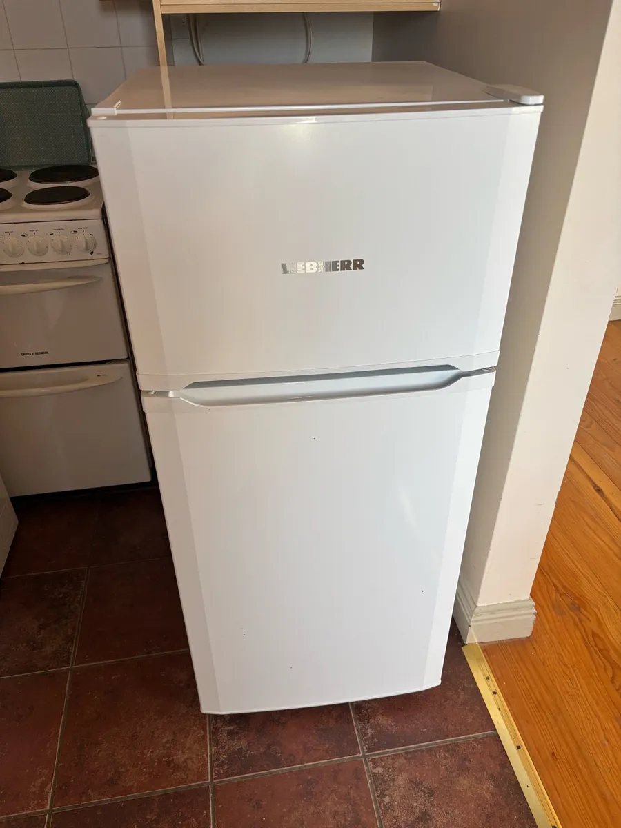 Fridge freezer - Image 1