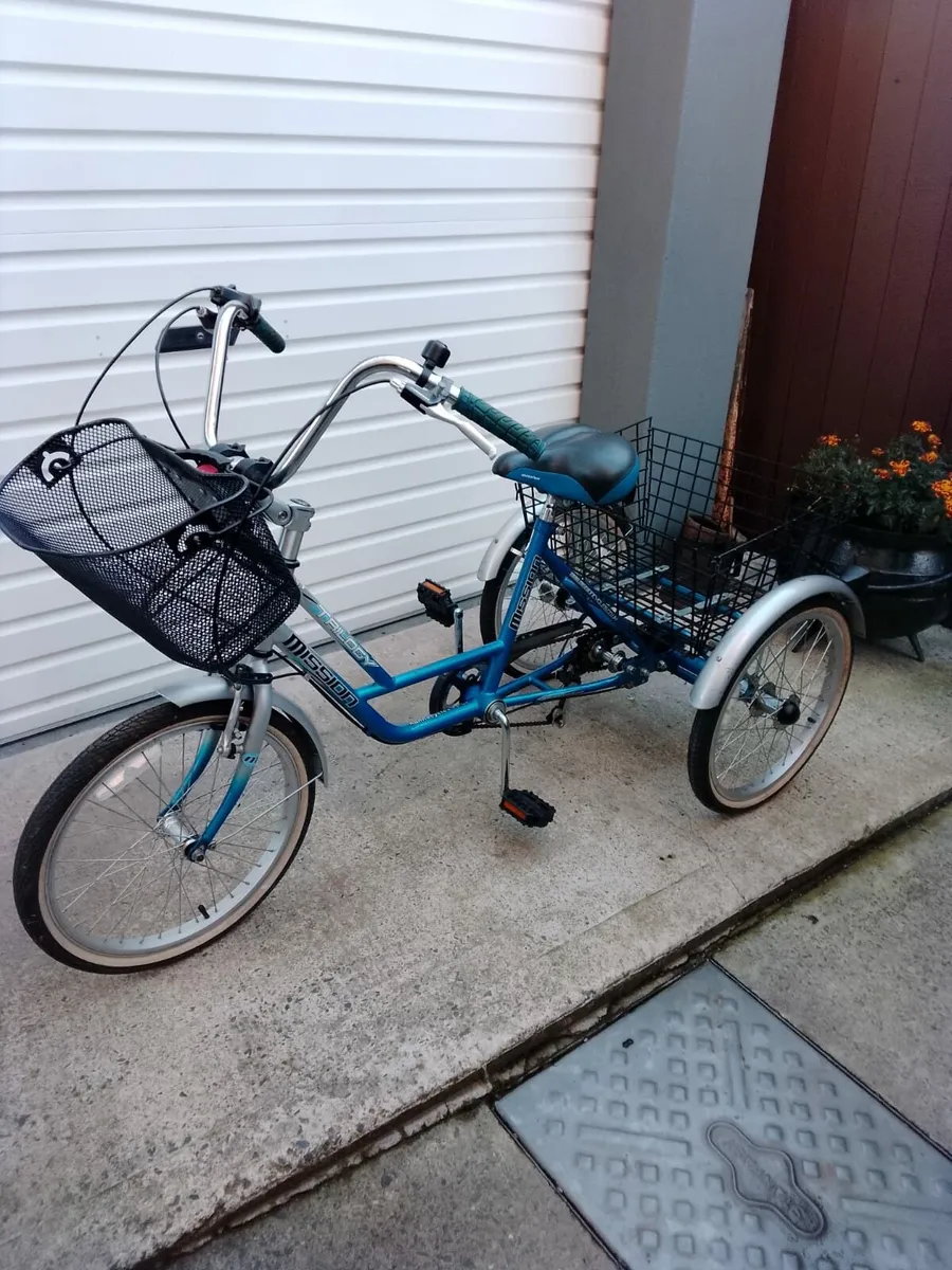 Bike 3 wheel trike - Image 1