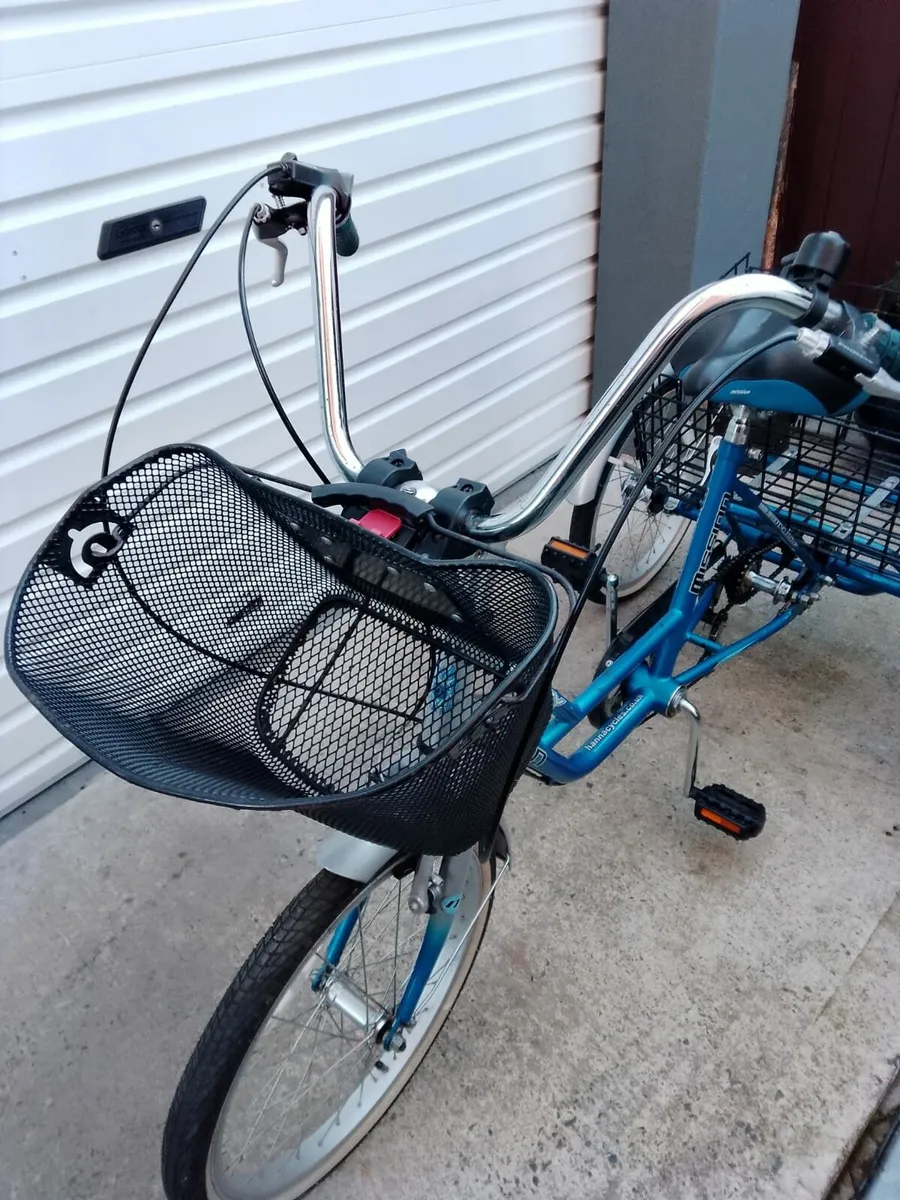 Bike 3 wheel trike - Image 2