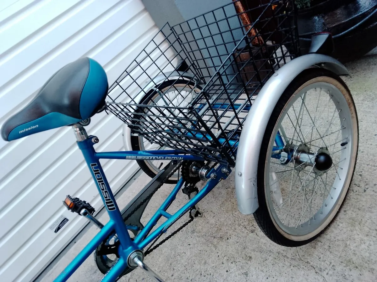Bike 3 wheel trike - Image 3