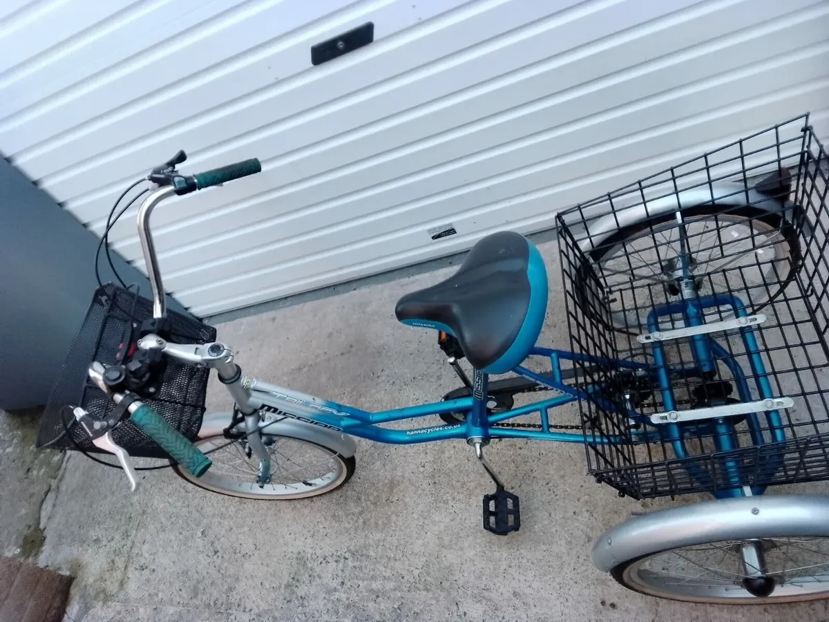 Bike 3 wheel trike - Image 4