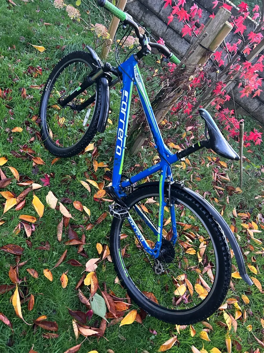 Mountain bike - Image 3