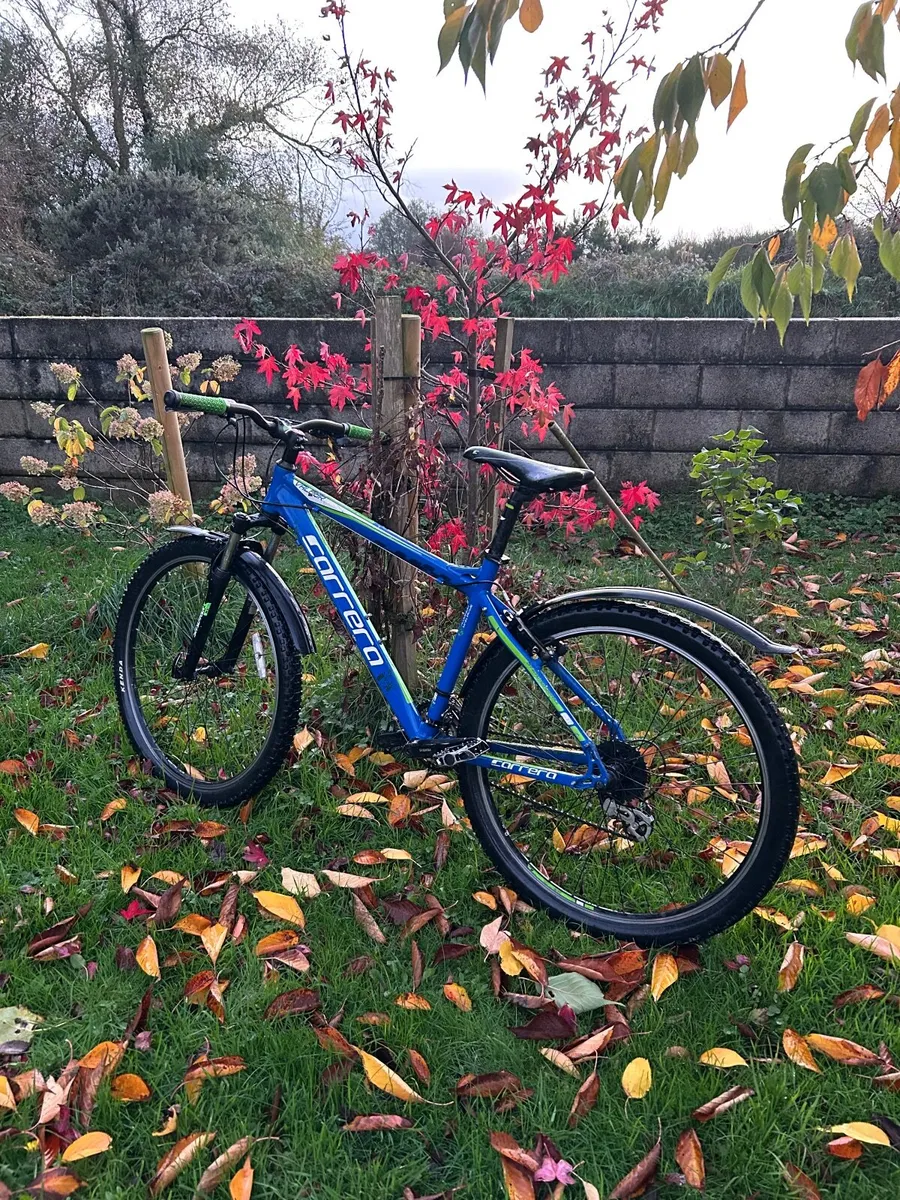 Mountain bike - Image 2