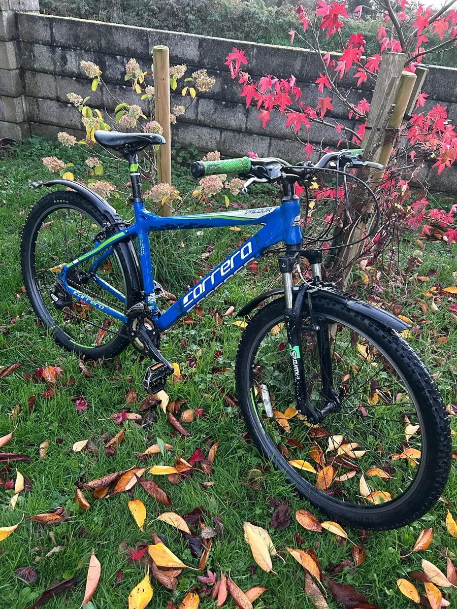 Mountain bike - Image 1