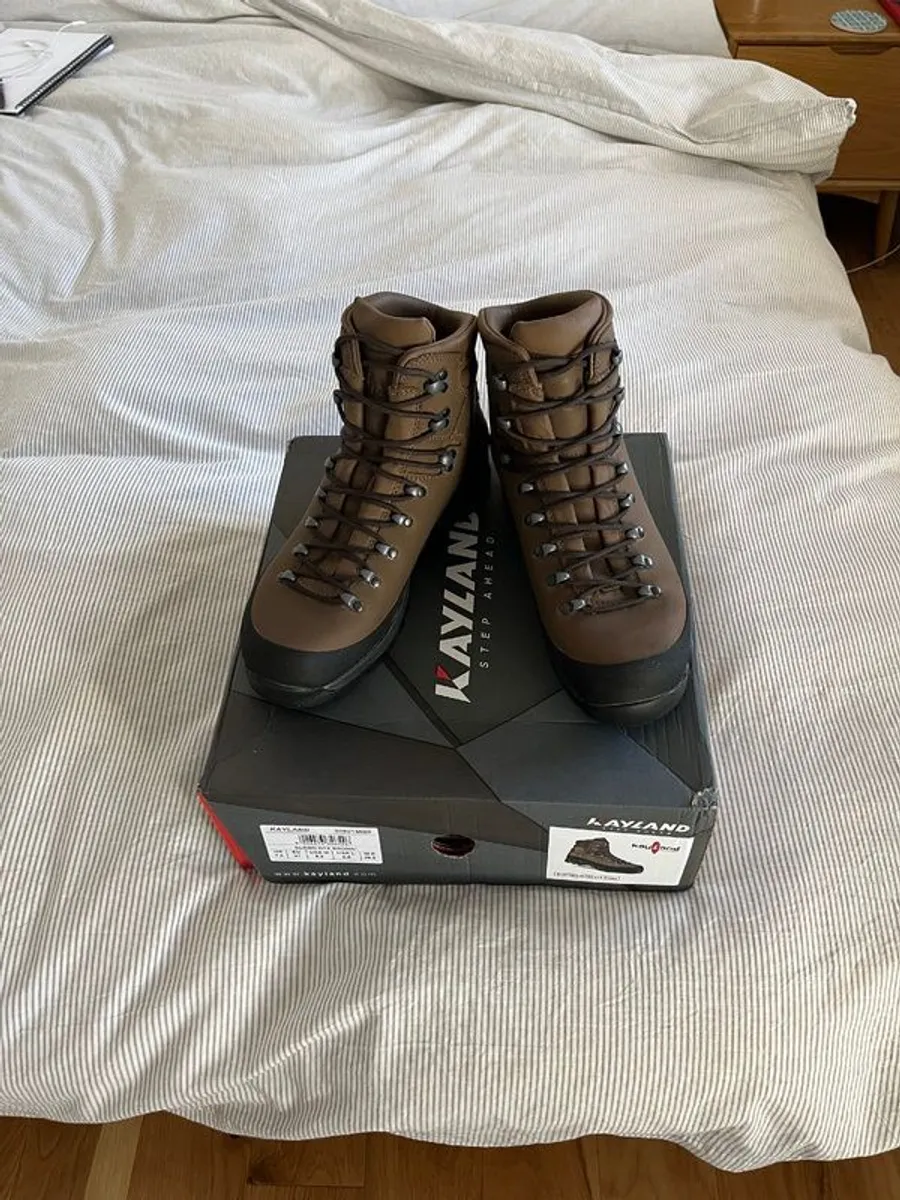 Hiking Boots - Image 1